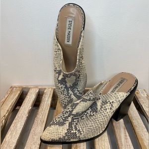 Steve Madden Snake print Savina Block Heel Slip on Mule Woman’s Size 7M Gray